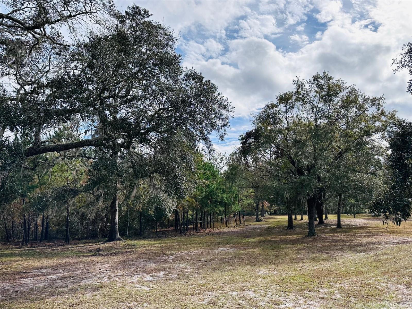 12468 SE 349 HWY, OLD TOWN, FL, 32680