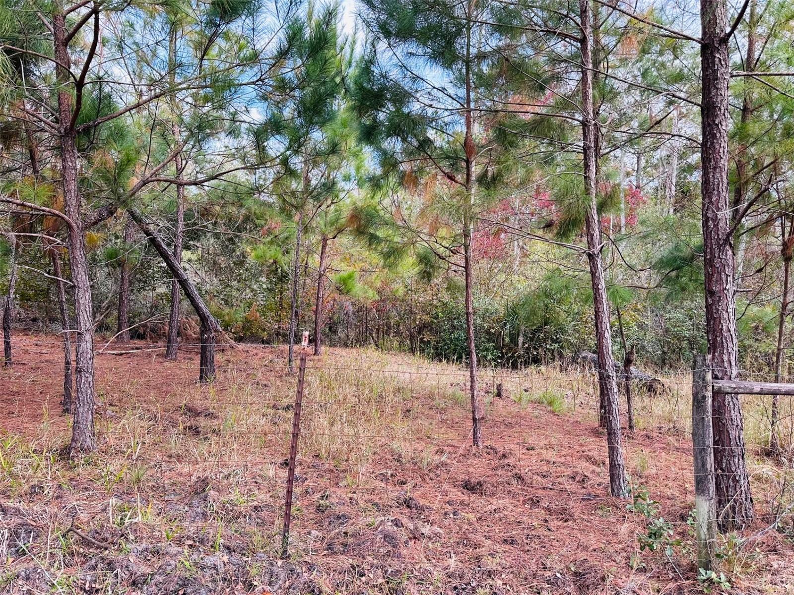 12468 SE 349 HWY, OLD TOWN, FL, 32680