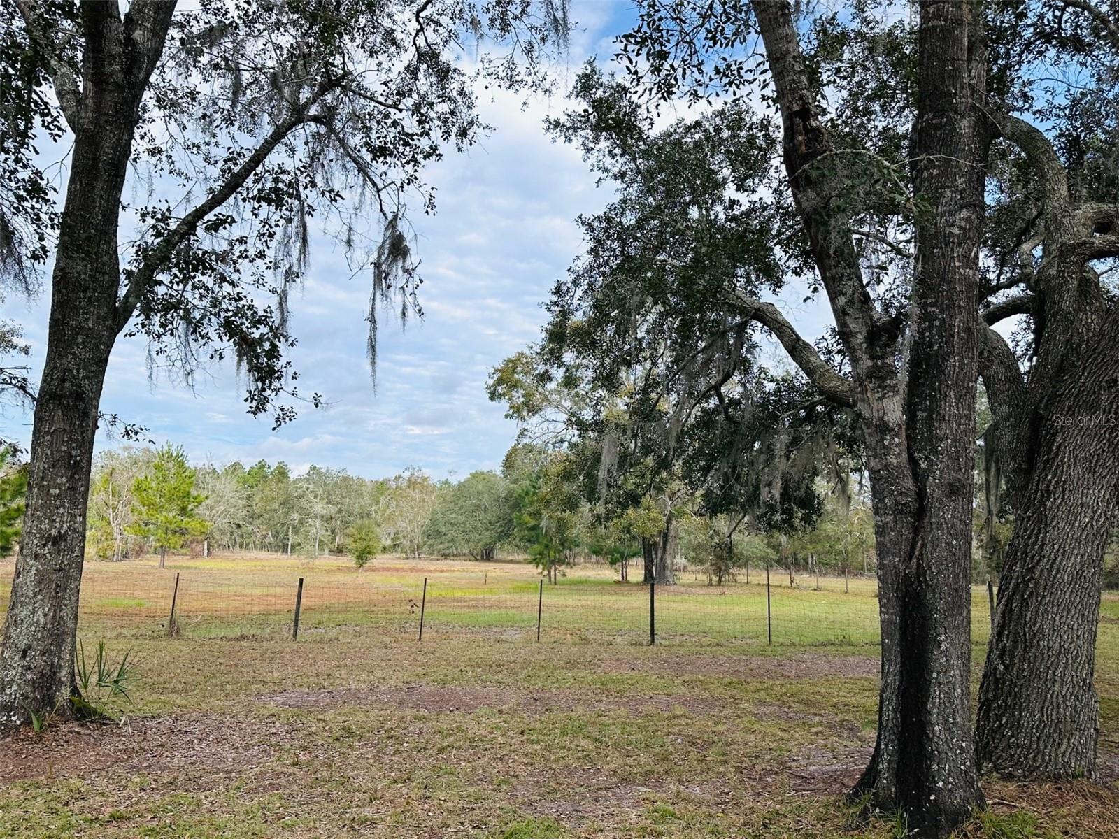 12468 SE 349 HWY, OLD TOWN, FL, 32680