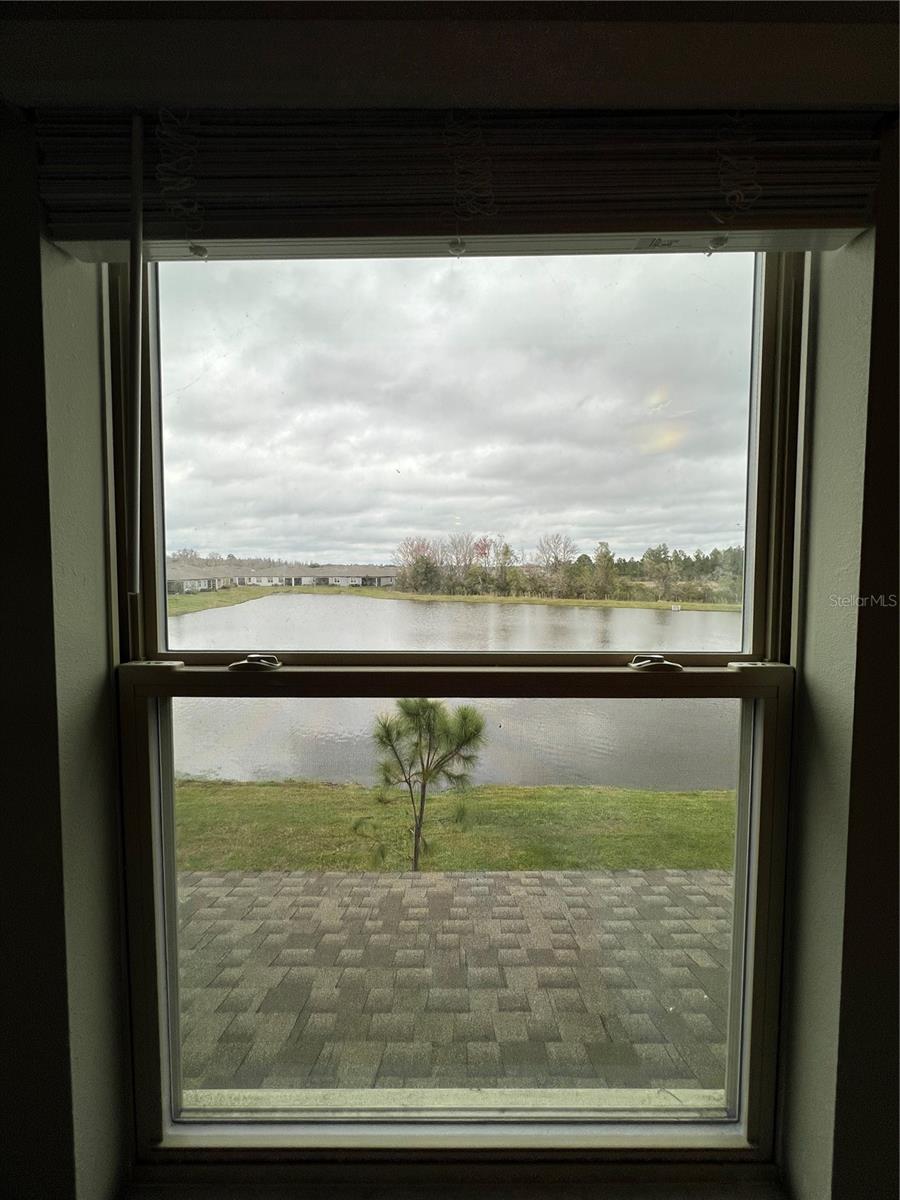 21869 ADRIATIC LN, LAND O LAKES, FL, 34637