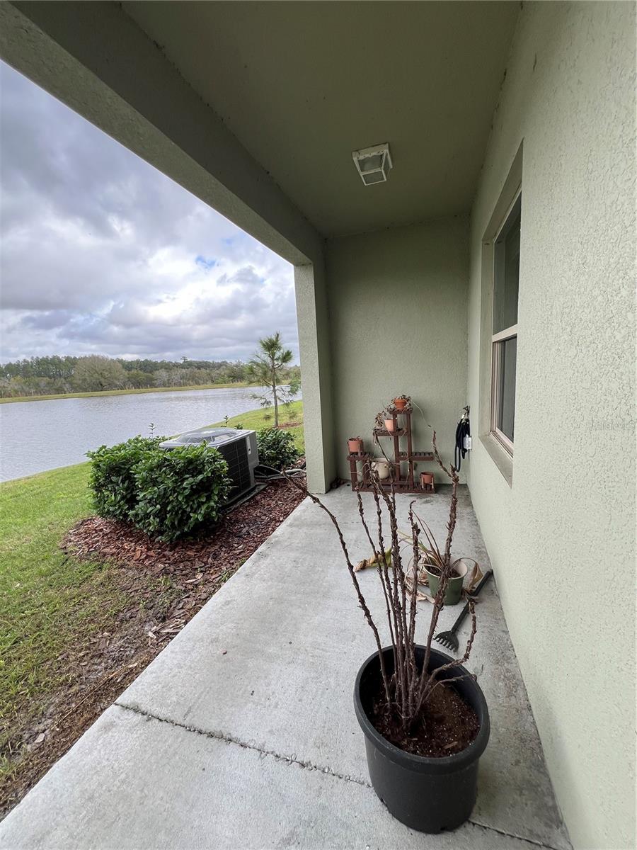 21869 ADRIATIC LN, LAND O LAKES, FL, 34637