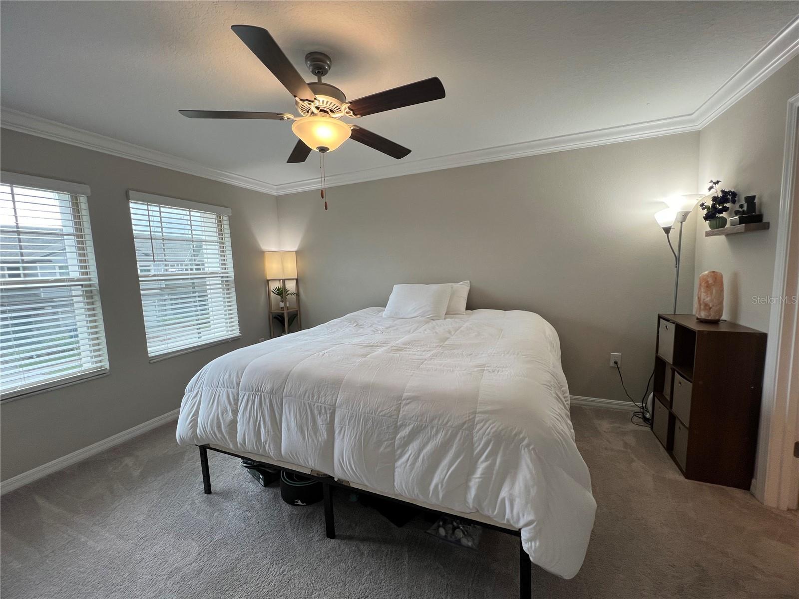 21869 ADRIATIC LN, LAND O LAKES, FL, 34637