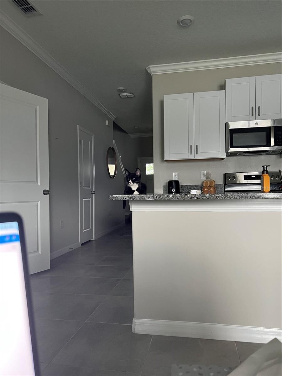 21869 ADRIATIC LN, LAND O LAKES, FL, 34637