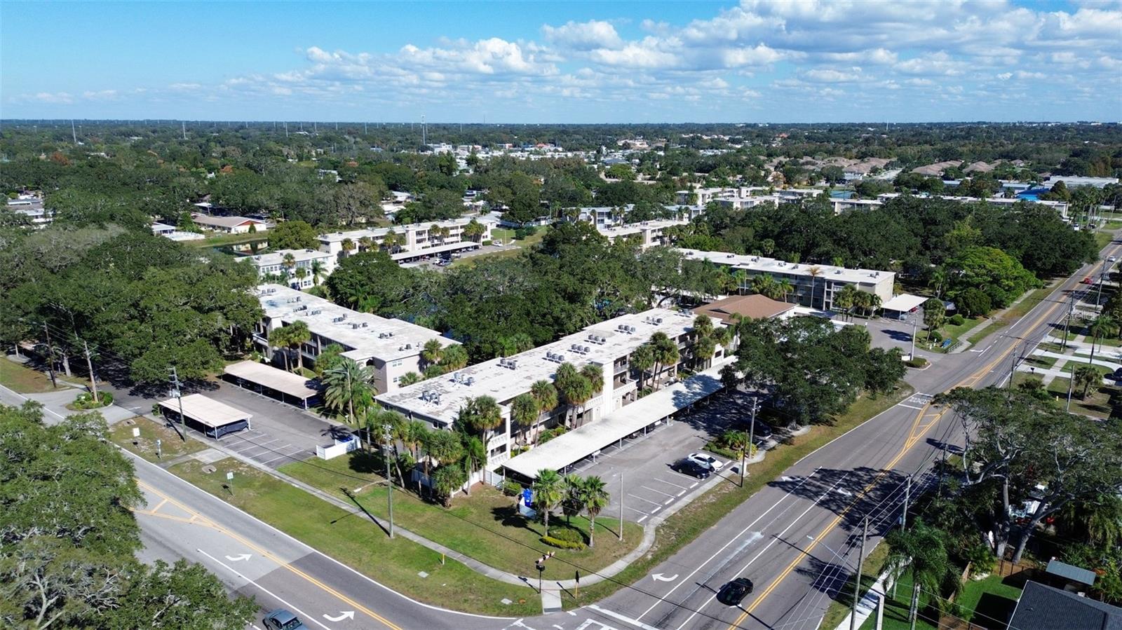 920 VIRGINIA ST #204, DUNEDIN, FL, 34698
