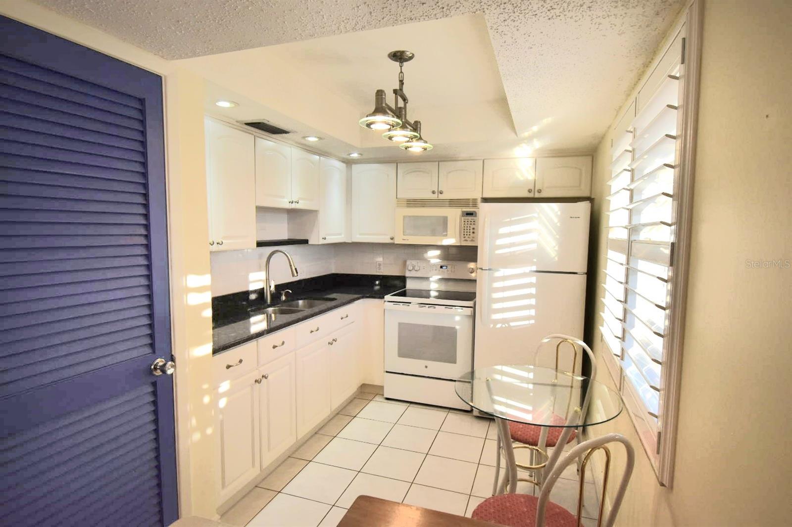 920 VIRGINIA ST #204, DUNEDIN, FL, 34698