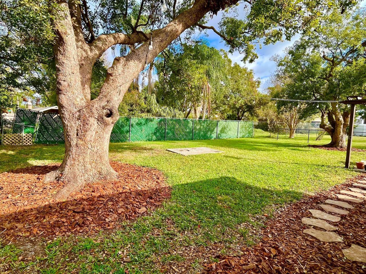 4003 W FAIR OAKS AVE, TAMPA, FL, 33611