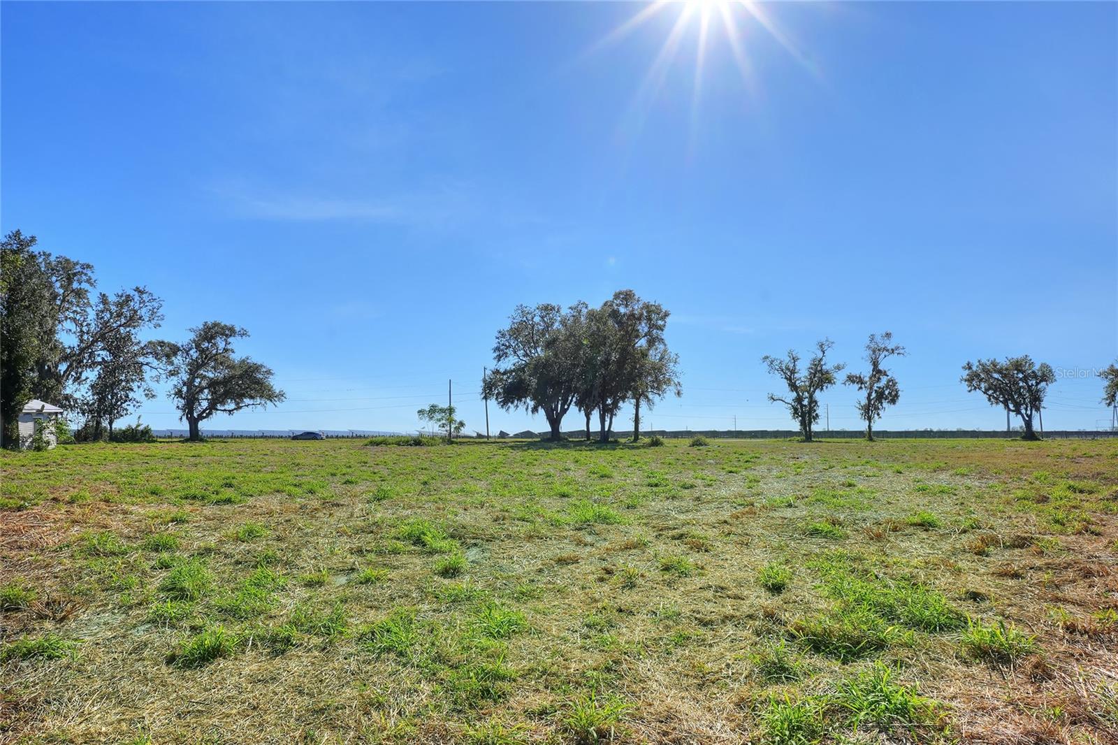 17744 BLEDSOE LOOP, LITHIA, FL, 33547