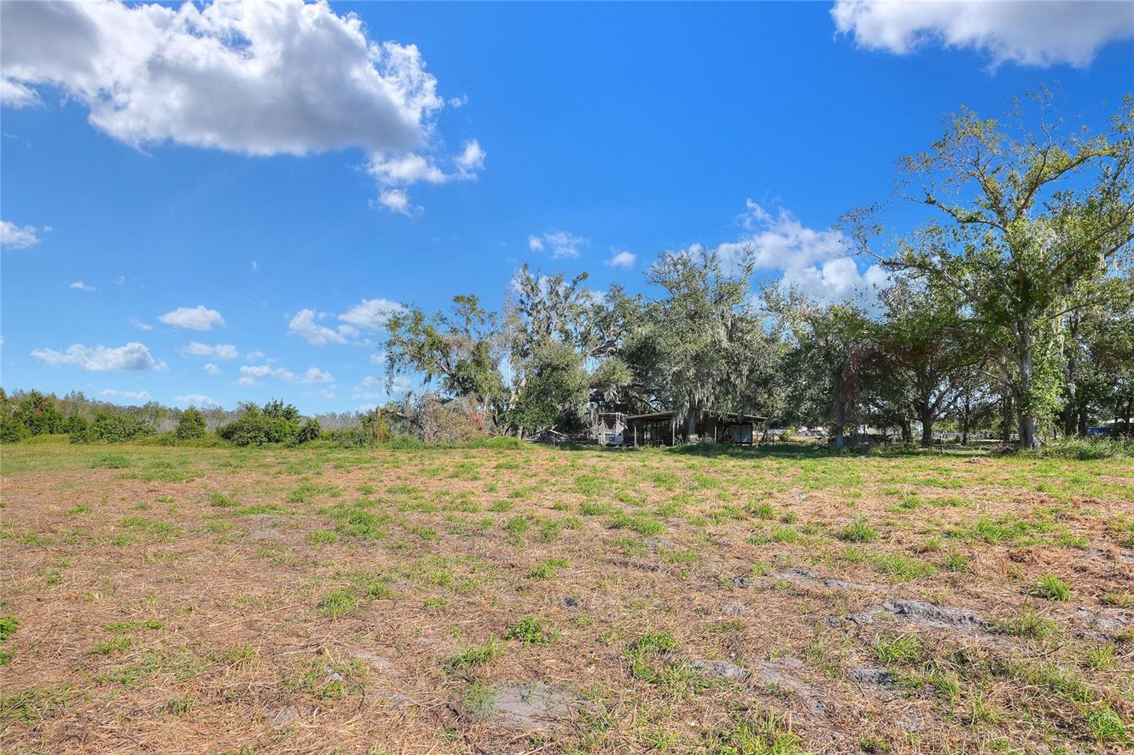 17744 BLEDSOE LOOP, LITHIA, FL, 33547