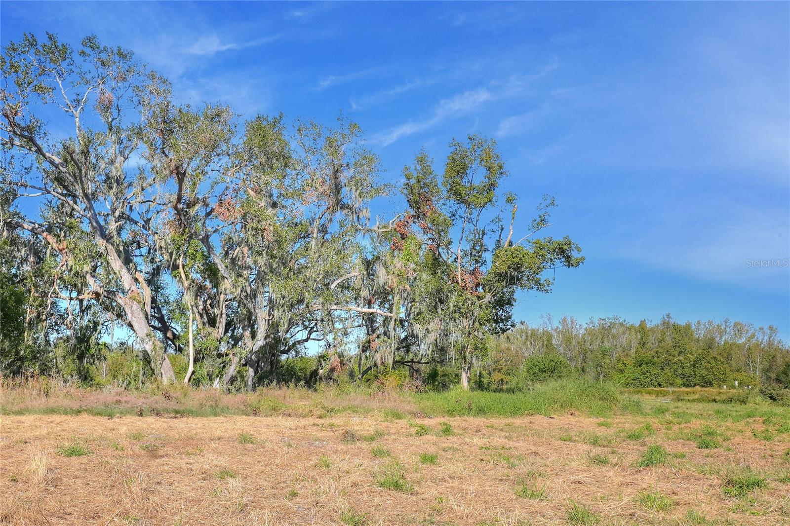 17744 BLEDSOE LOOP, LITHIA, FL, 33547