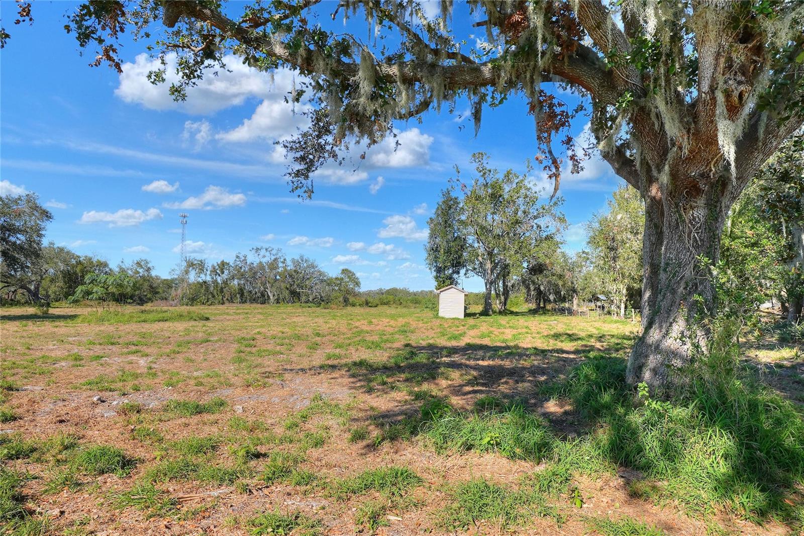 17744 BLEDSOE LOOP, LITHIA, FL, 33547