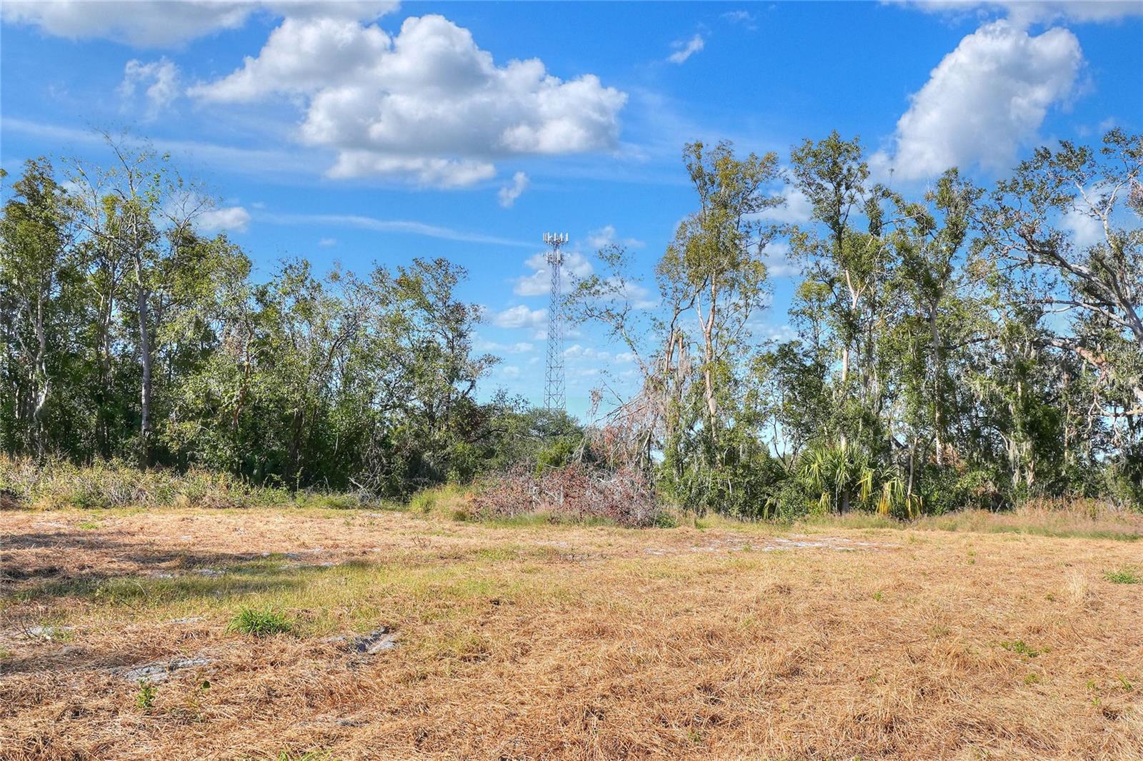 17744 BLEDSOE LOOP, LITHIA, FL, 33547