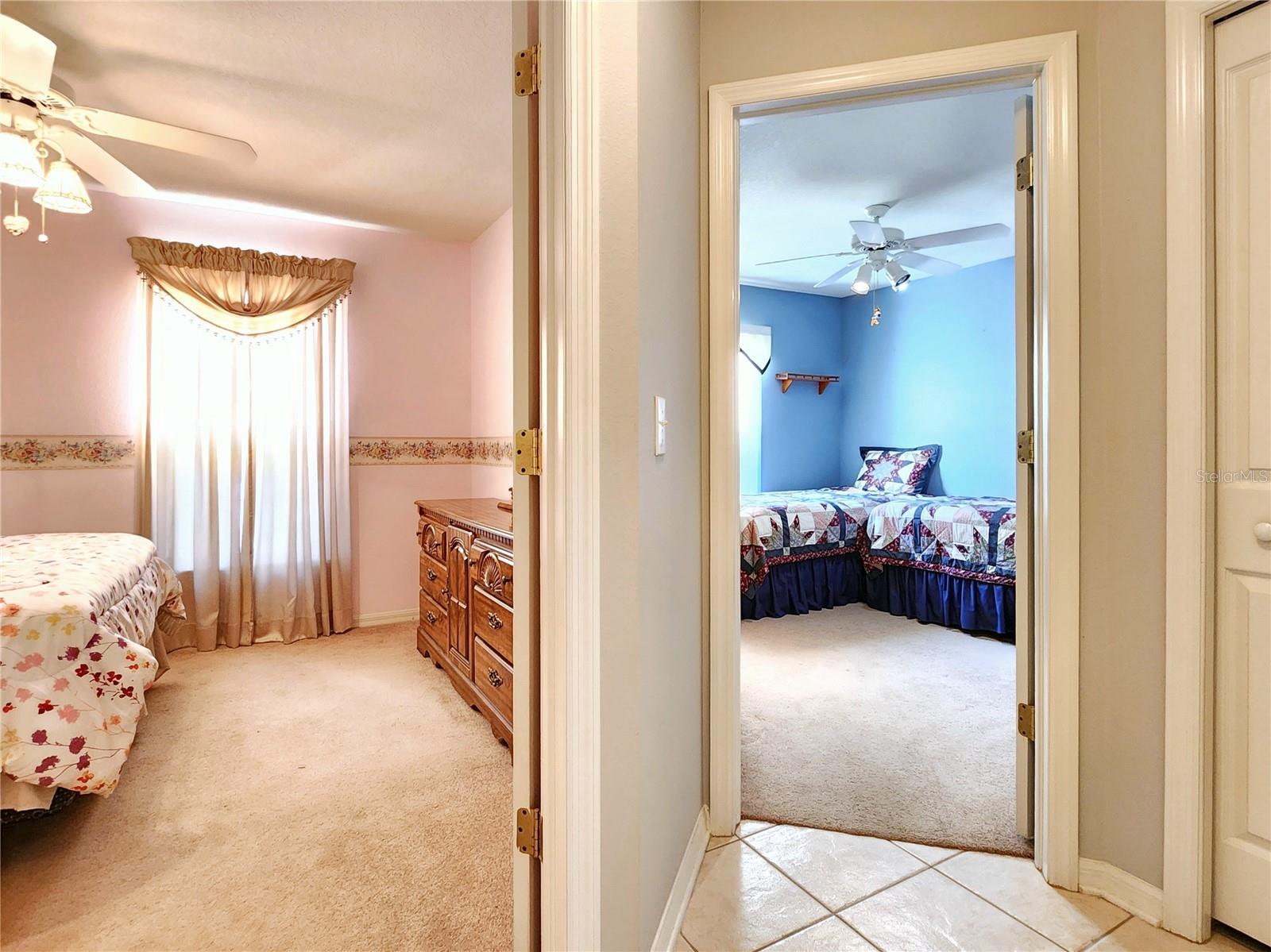 30923 BURLEIGH DR, WESLEY CHAPEL, FL, 33543