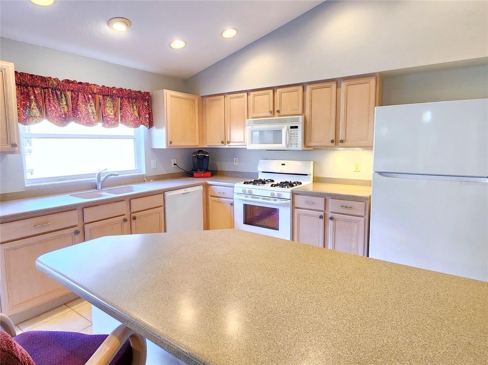 30923 BURLEIGH DR, WESLEY CHAPEL, FL, 33543