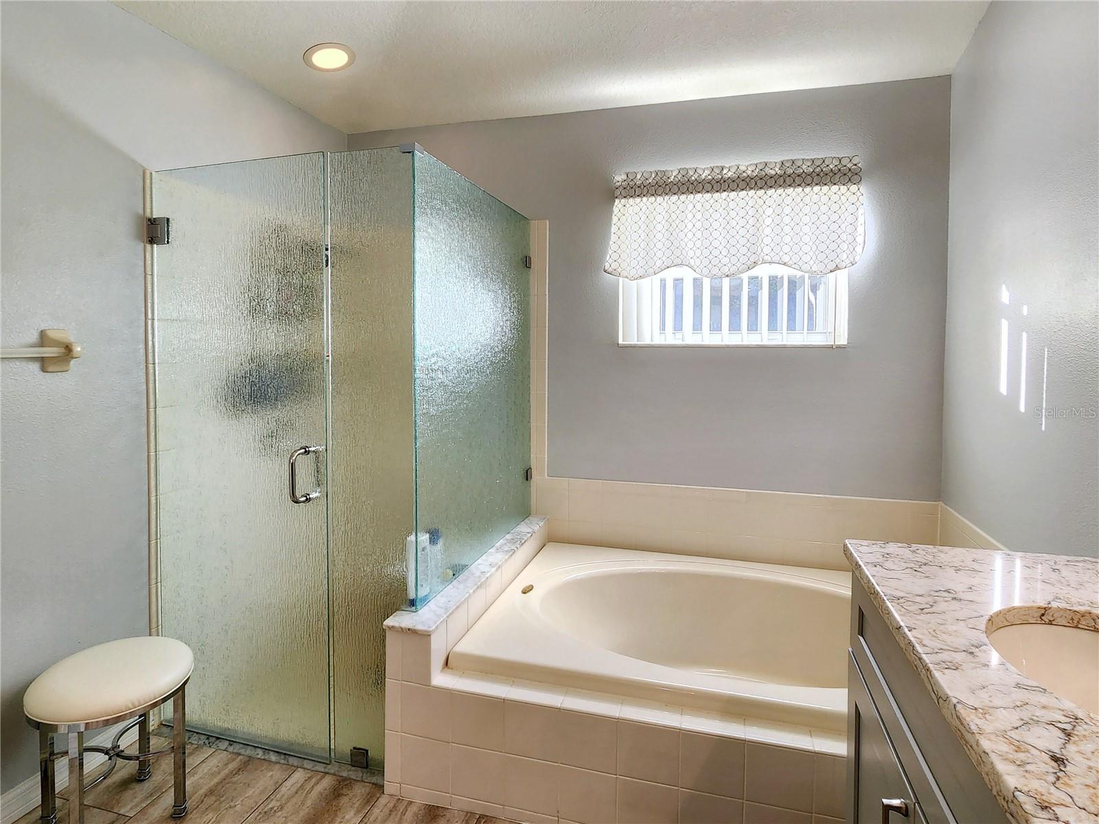 30923 BURLEIGH DR, WESLEY CHAPEL, FL, 33543