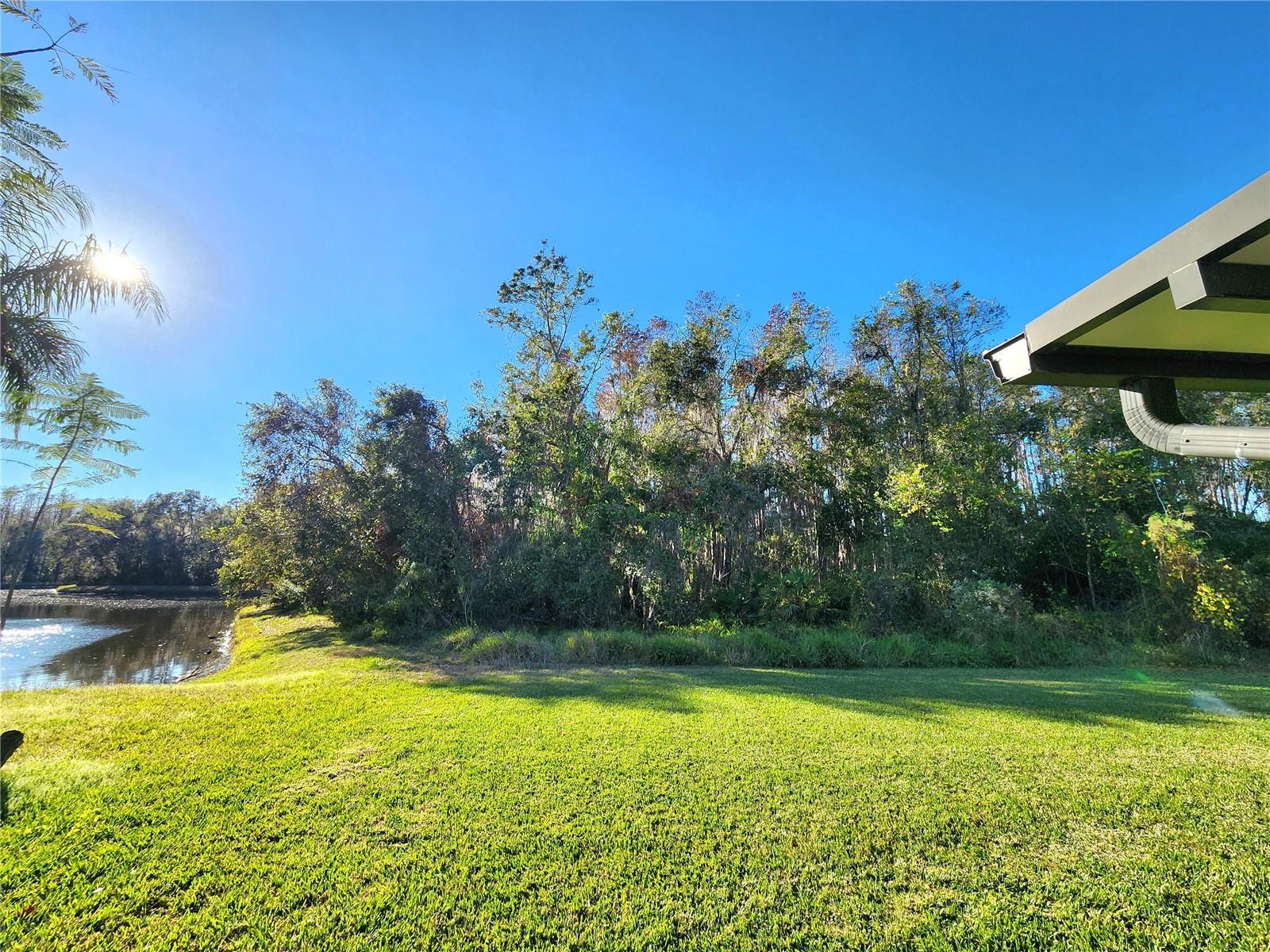 30923 BURLEIGH DR, WESLEY CHAPEL, FL, 33543