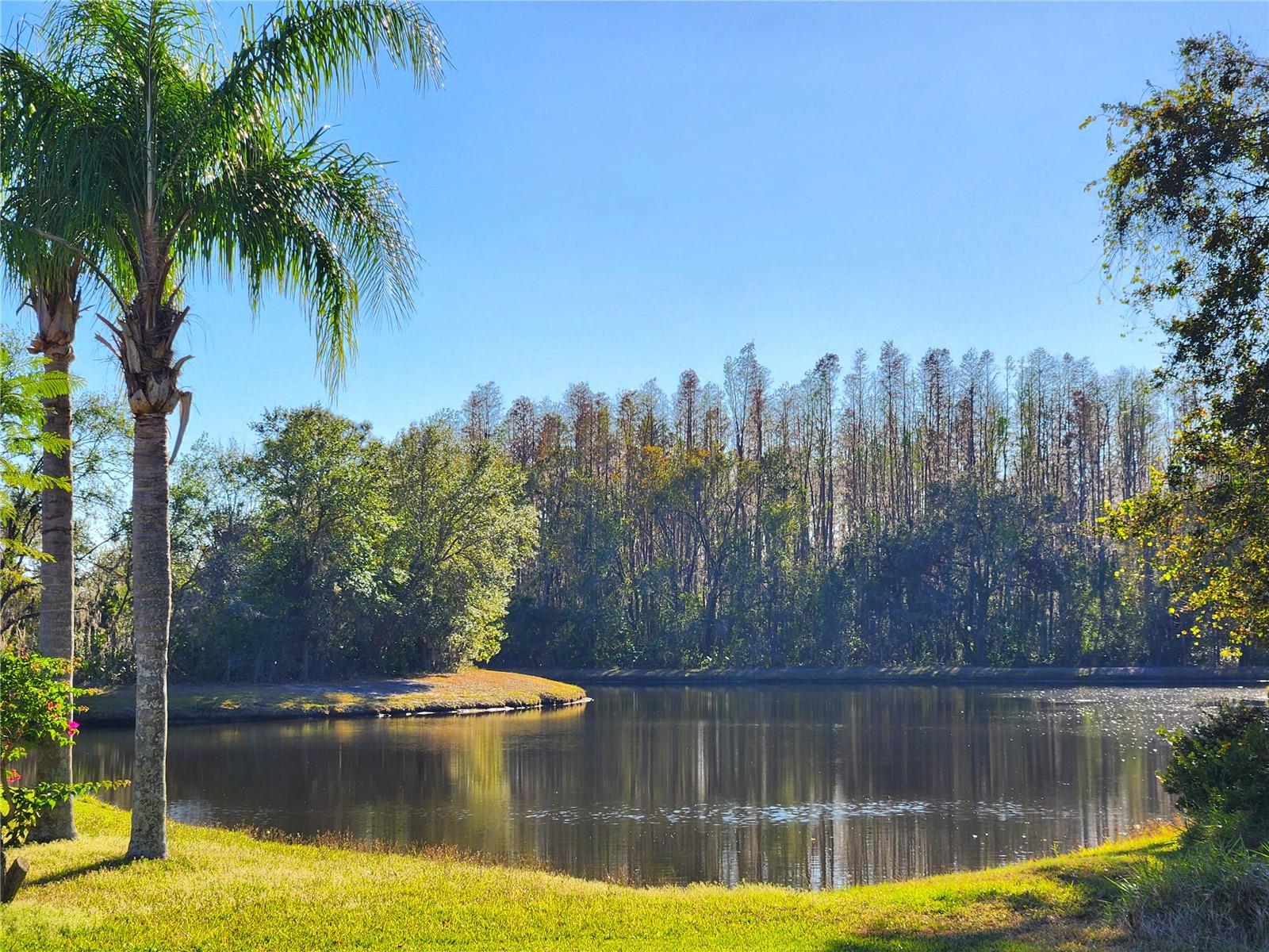 30923 BURLEIGH DR, WESLEY CHAPEL, FL, 33543
