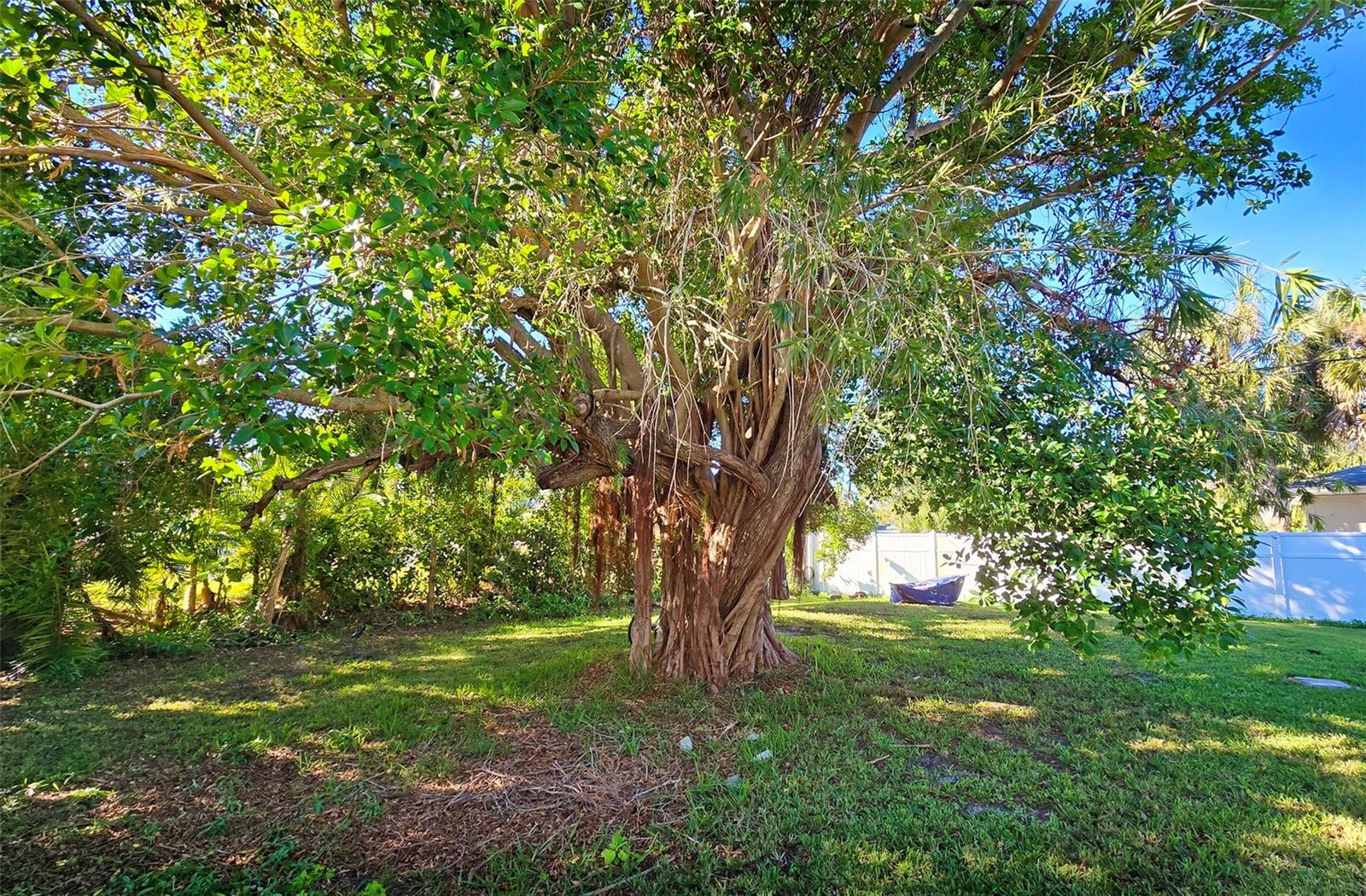 3310 LEXINGTON ST, SARASOTA, FL, 34231