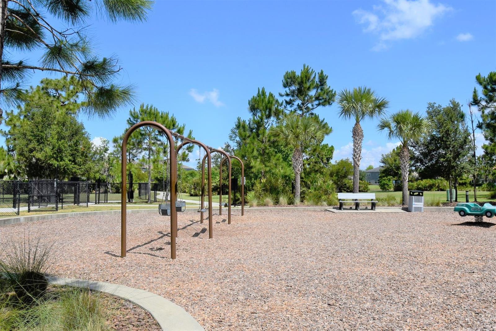 11936 CROSS VINE DR, RIVERVIEW, FL, 33579