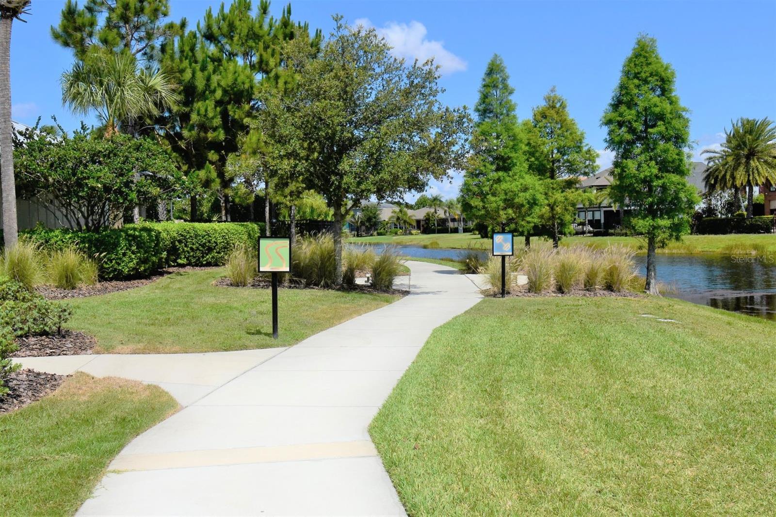 11936 CROSS VINE DR, RIVERVIEW, FL, 33579