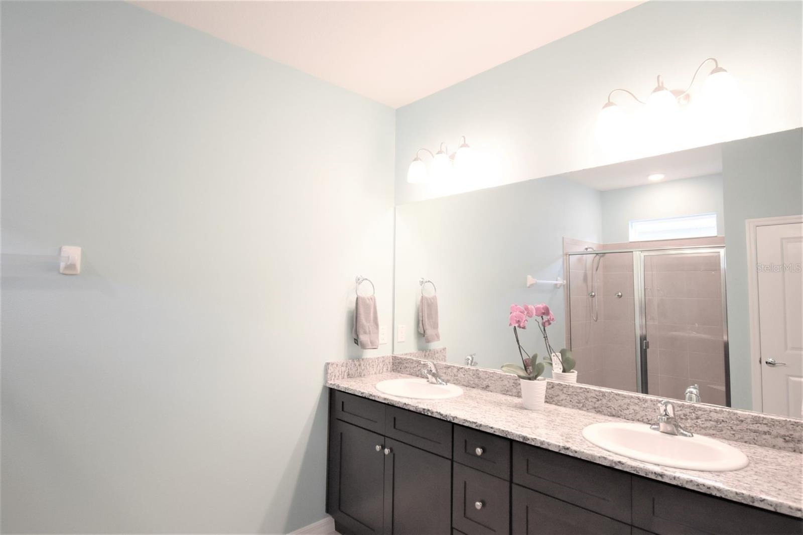 11936 CROSS VINE DR, RIVERVIEW, FL, 33579