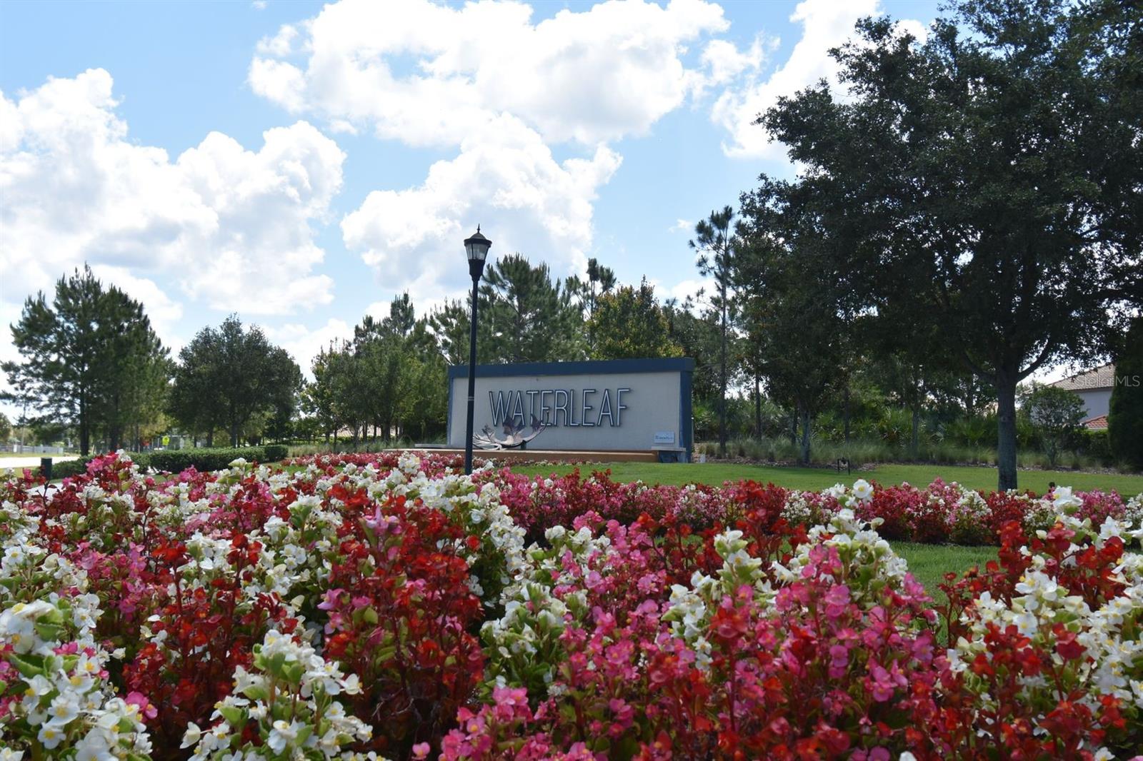 11936 CROSS VINE DR, RIVERVIEW, FL, 33579