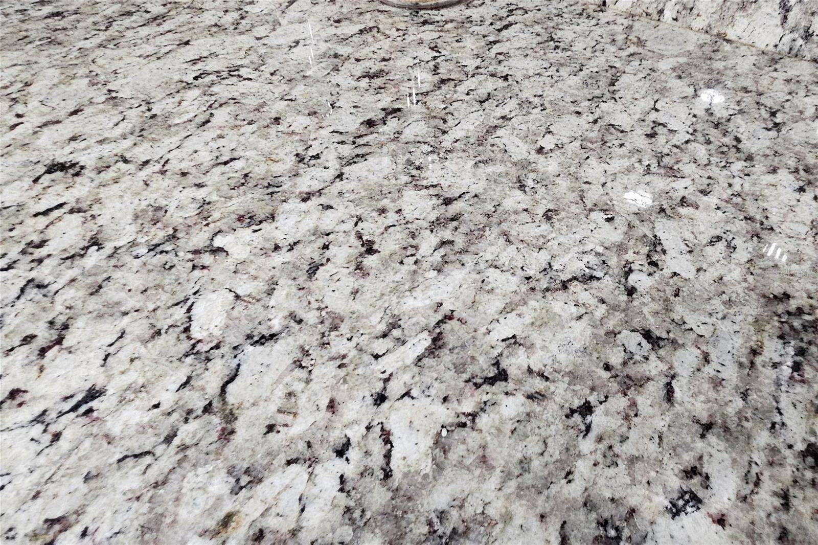 11472 KERRIDALE AVE, SPRING HILL, FL, 34608