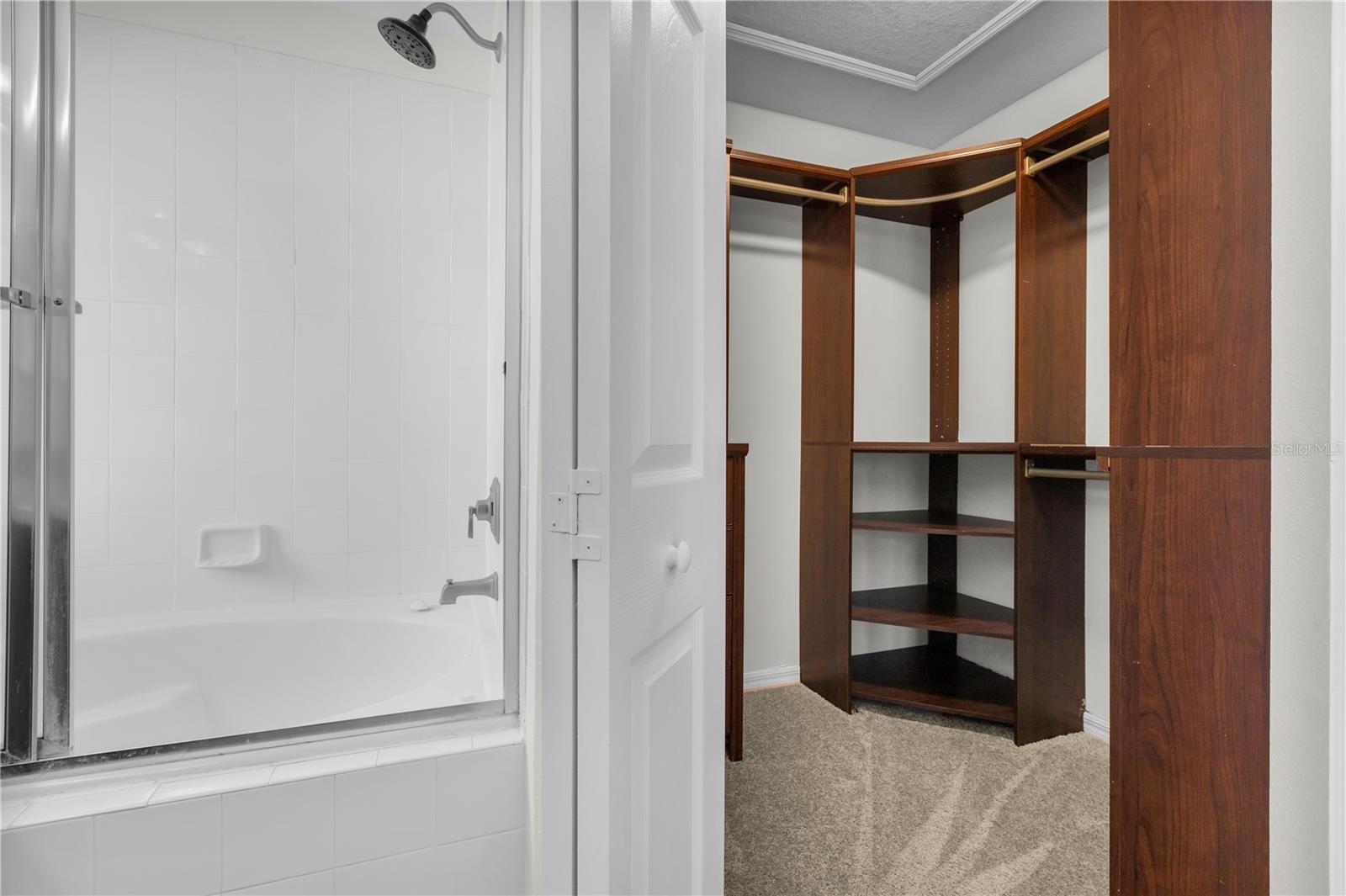 14225 CONFETTI DR, WINDERMERE, FL, 34786