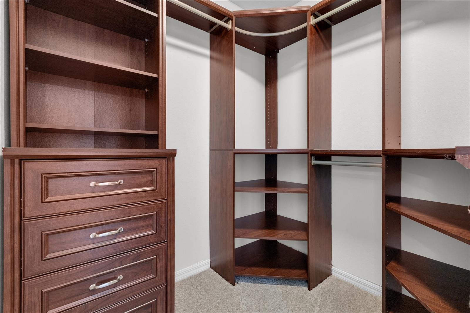 14225 CONFETTI DR, WINDERMERE, FL, 34786