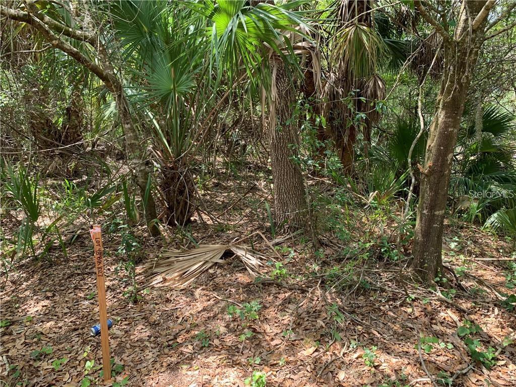 393 OVERBROOK ST, PORT CHARLOTTE, FL, 33954