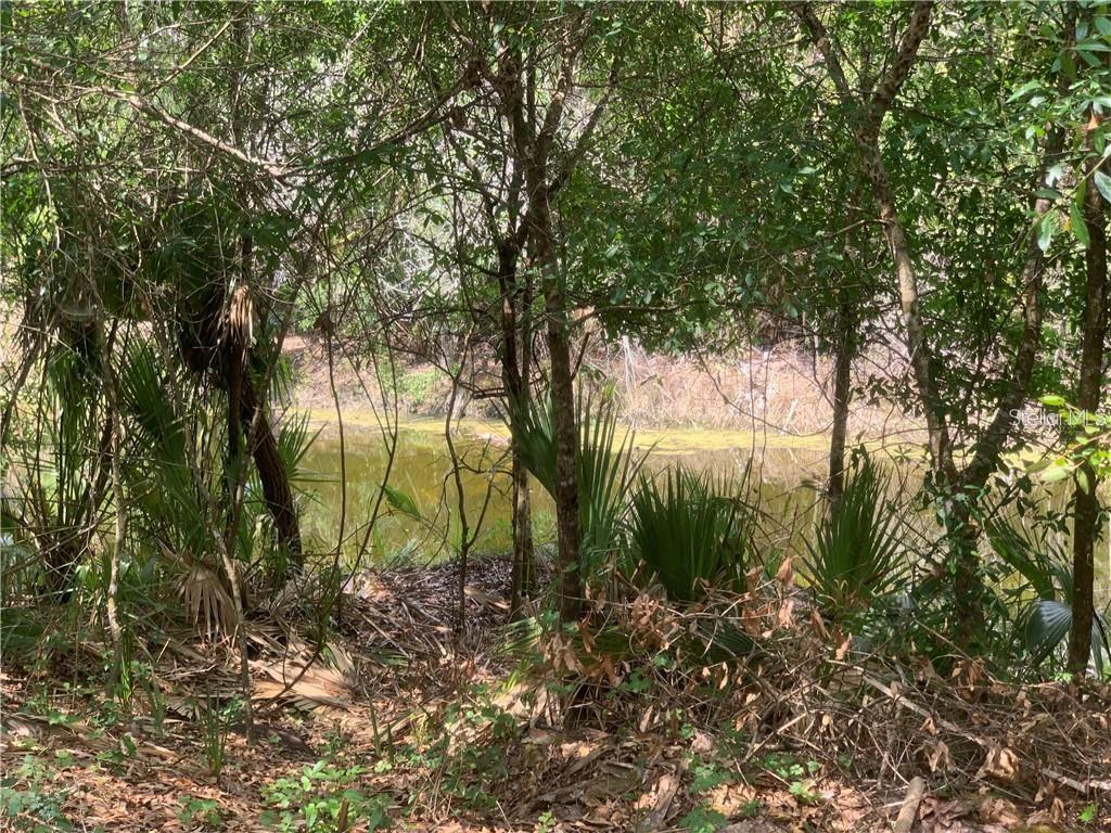 393 OVERBROOK ST, PORT CHARLOTTE, FL, 33954