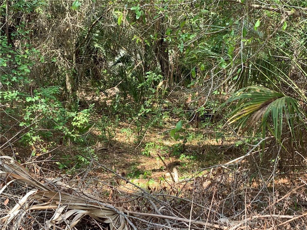393 OVERBROOK ST, PORT CHARLOTTE, FL, 33954
