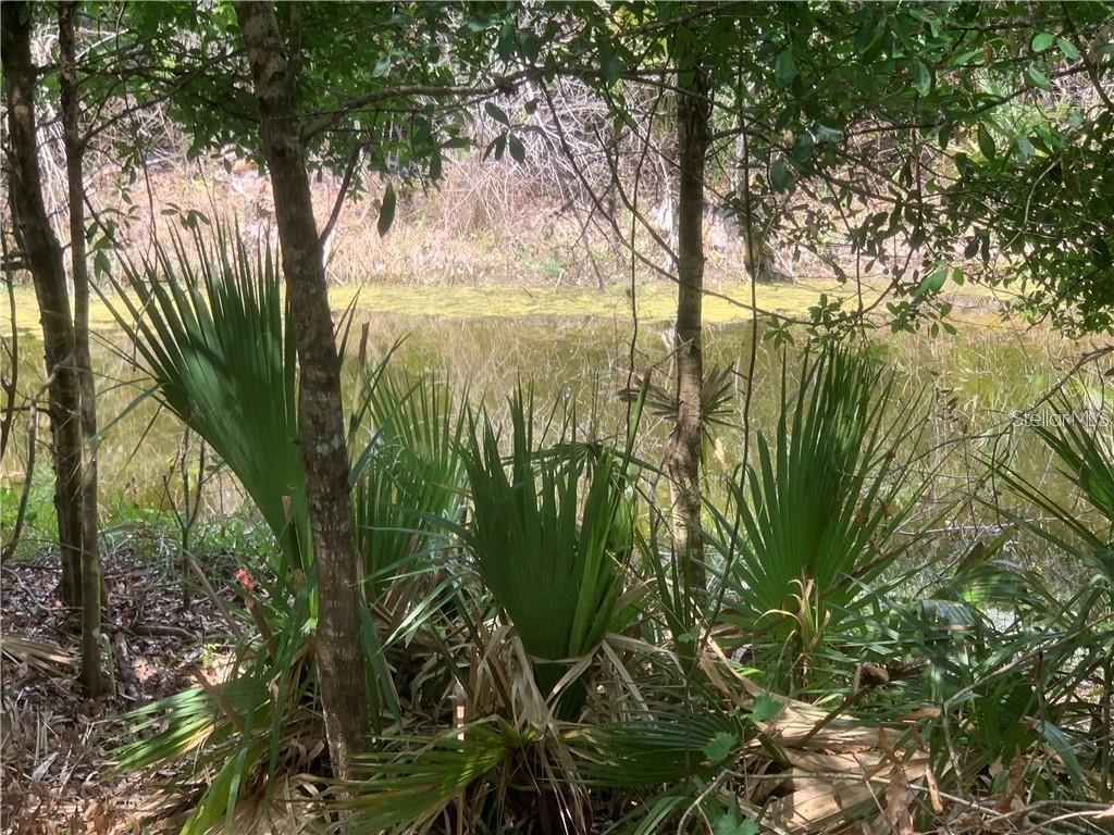 393 OVERBROOK ST, PORT CHARLOTTE, FL, 33954