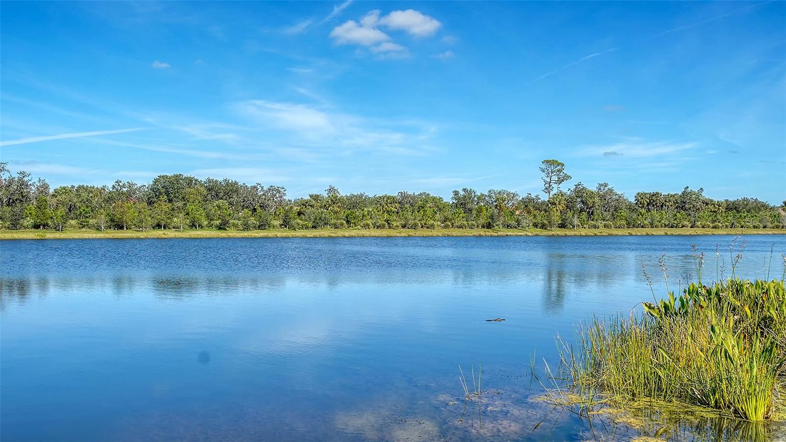 10177 LAKE WALES CIR, SARASOTA, FL, 34241