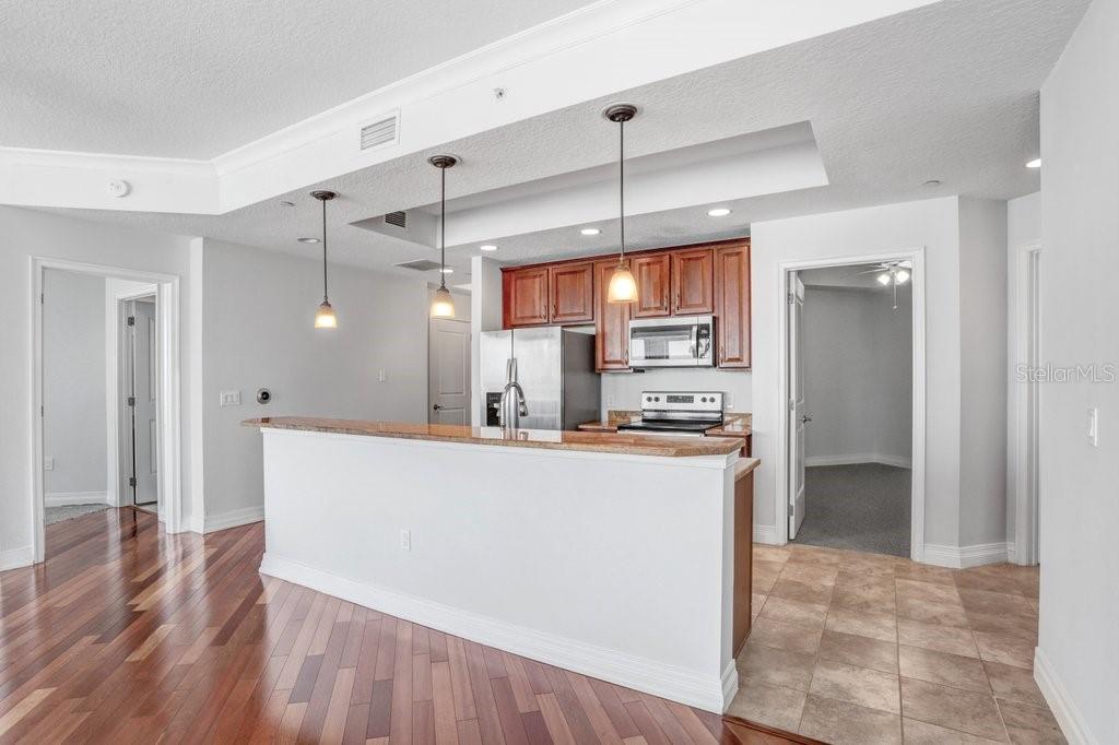 1209 E CUMBERLAND AVE #805, TAMPA, FL, 33602