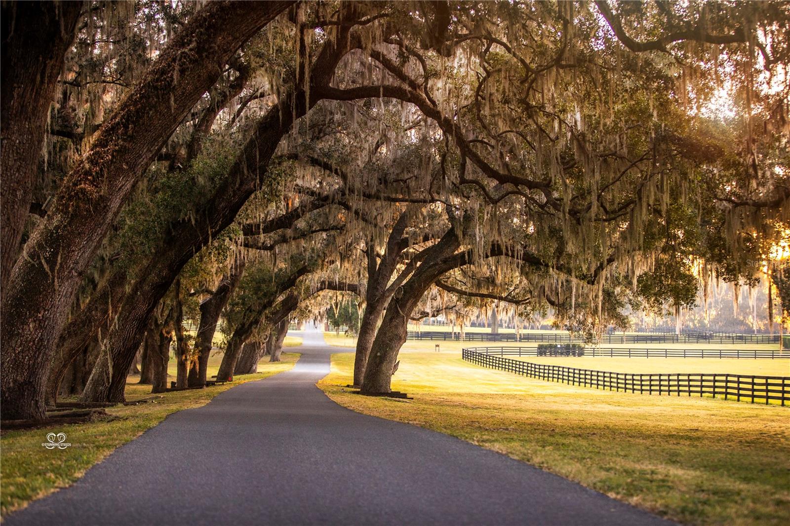 OM691209 Property Photo