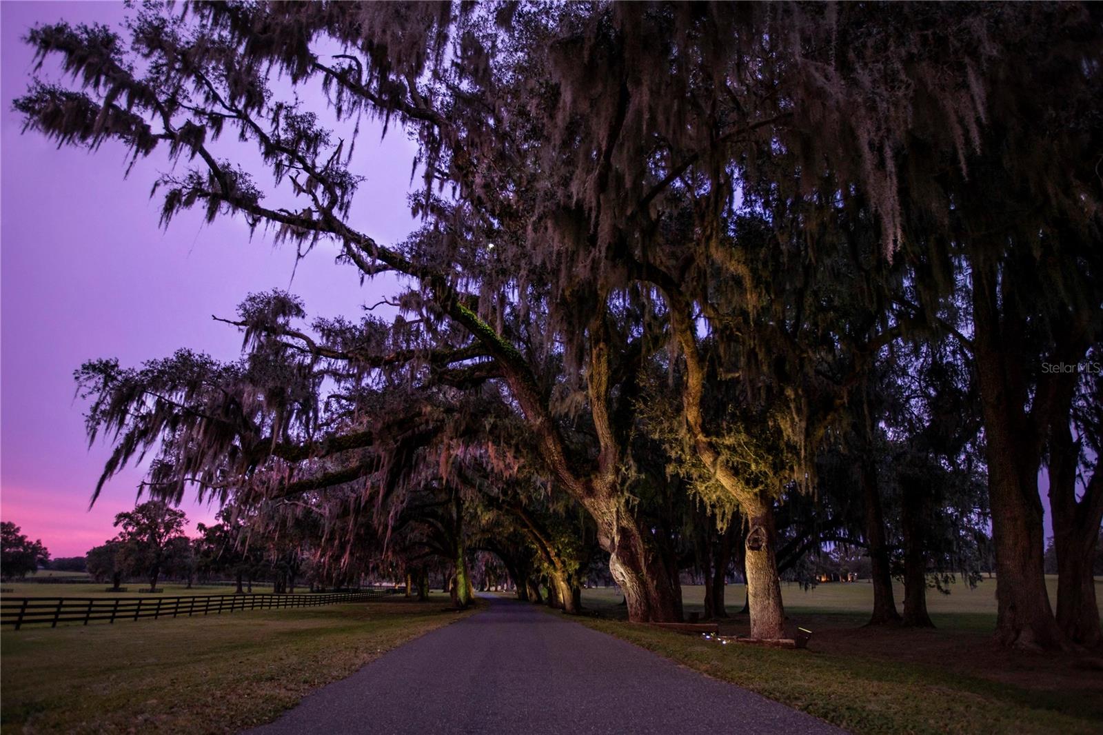 OM691209 Property Photo