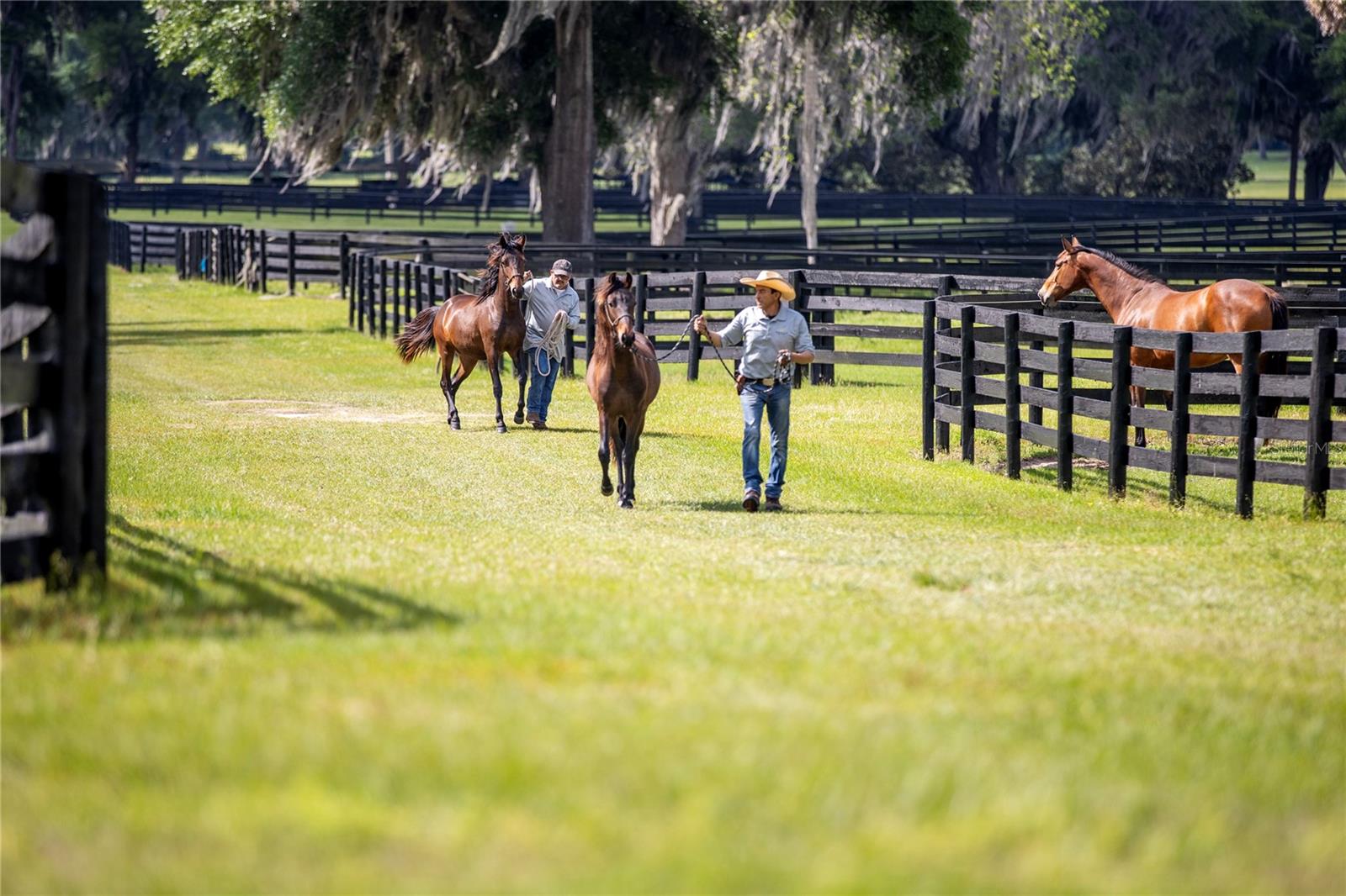 OM691209 Property Photo