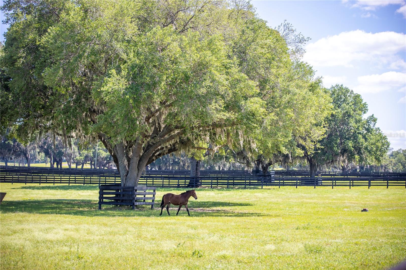 OM691209 Property Photo