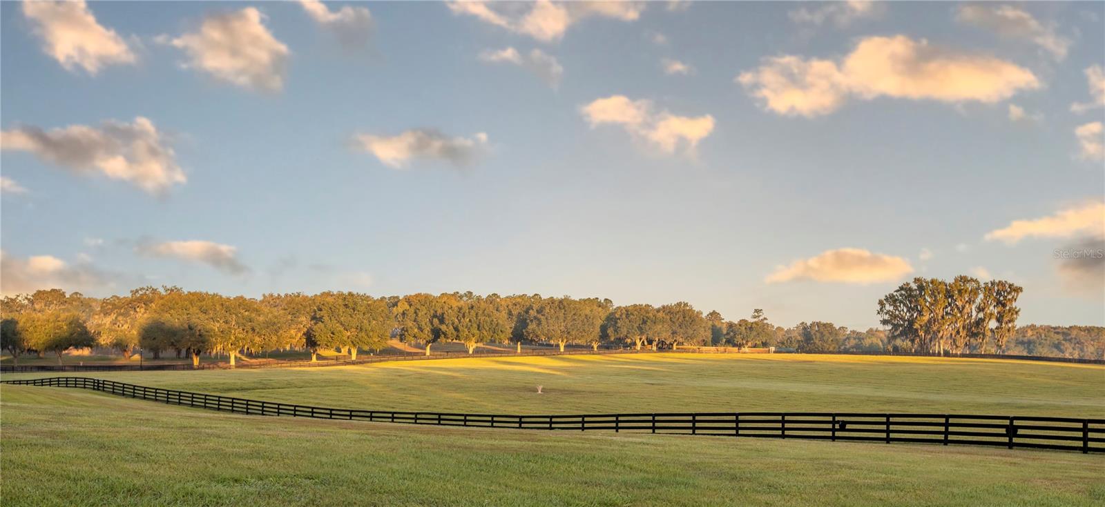 OM691209 Property Photo