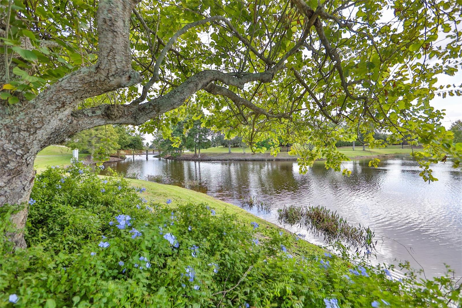 5440 SANDY SHELL DR, APOLLO BEACH, FL, 33572