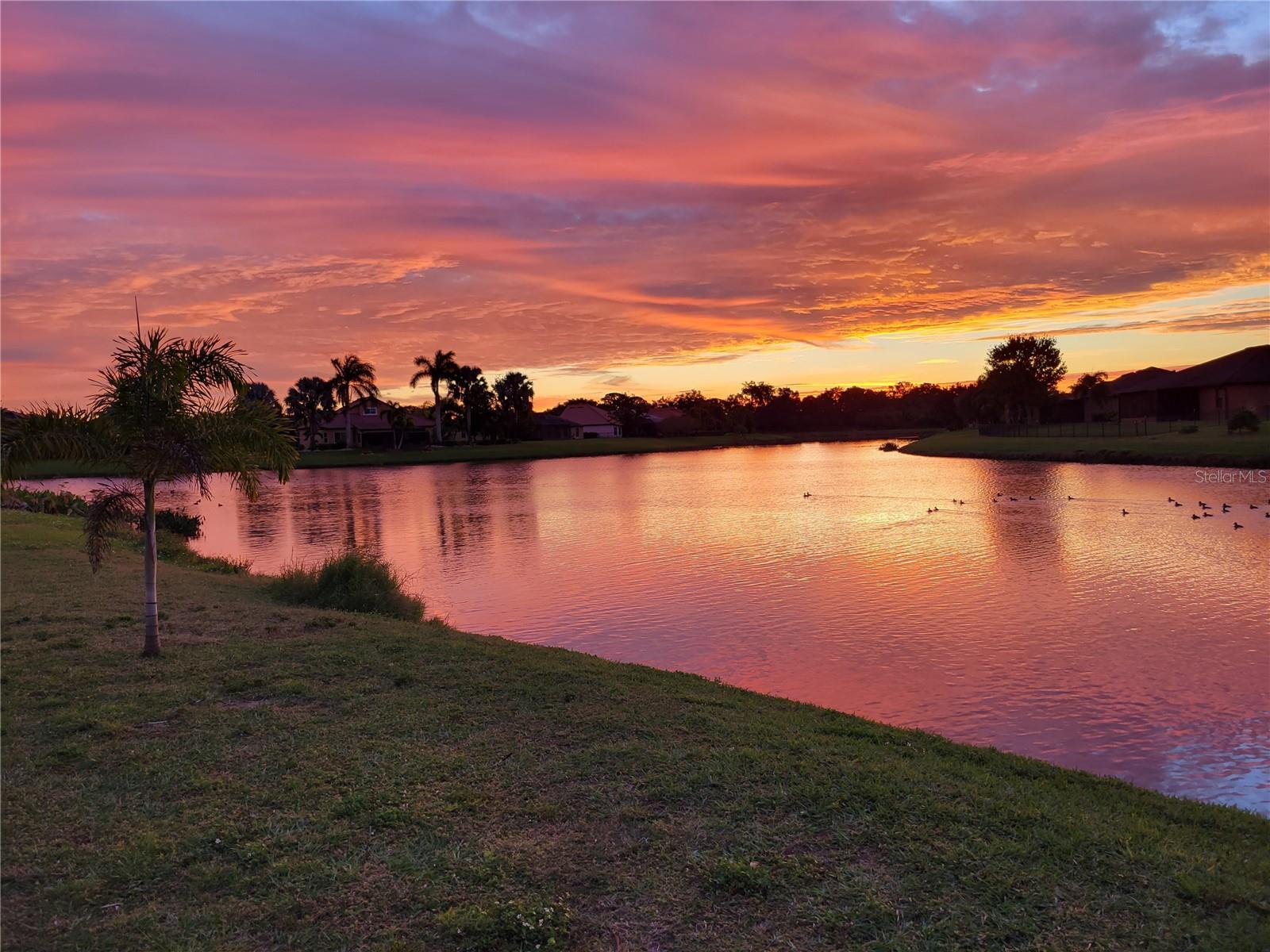 5440 SANDY SHELL DR, APOLLO BEACH, FL, 33572