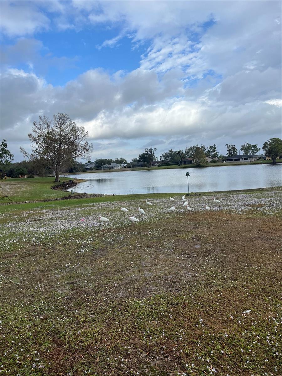 2436 NUREMBERG BLVD, PUNTA GORDA, FL, 33983