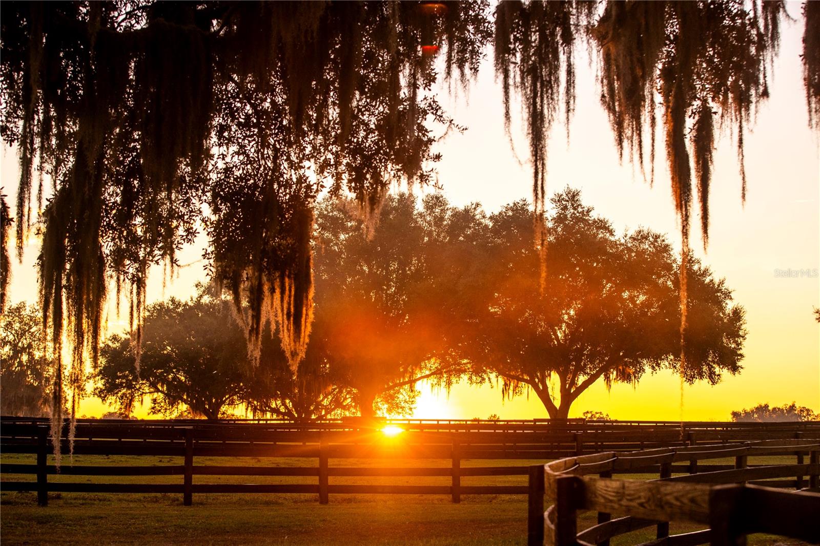 OM691215 Property Photo