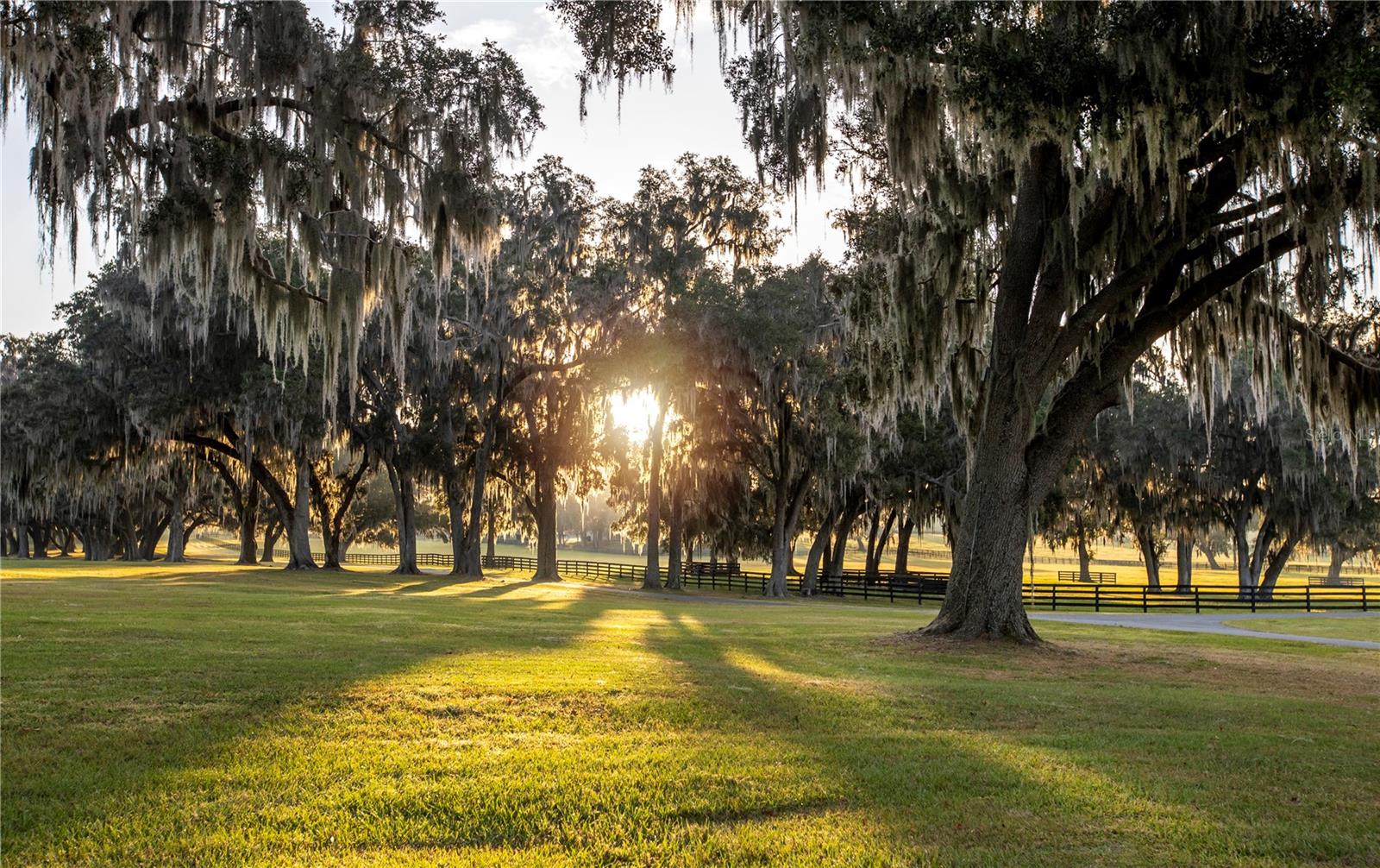 OM691215 Property Photo