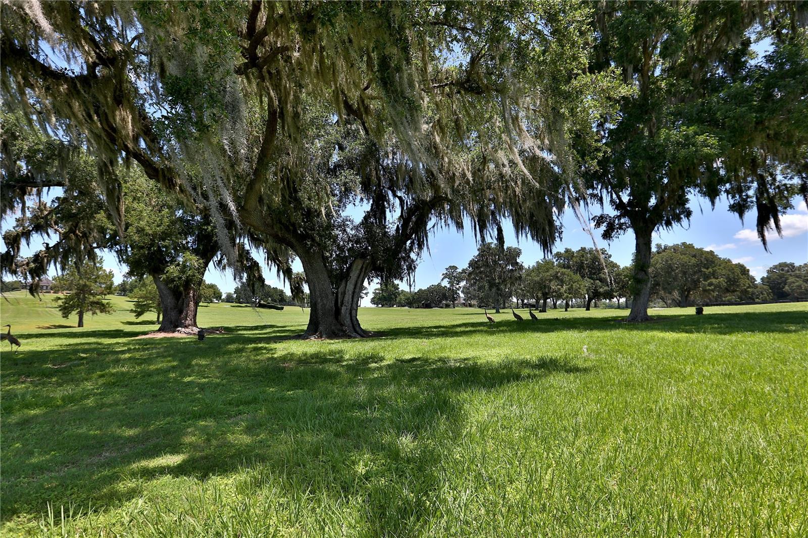 OM691215 Property Photo