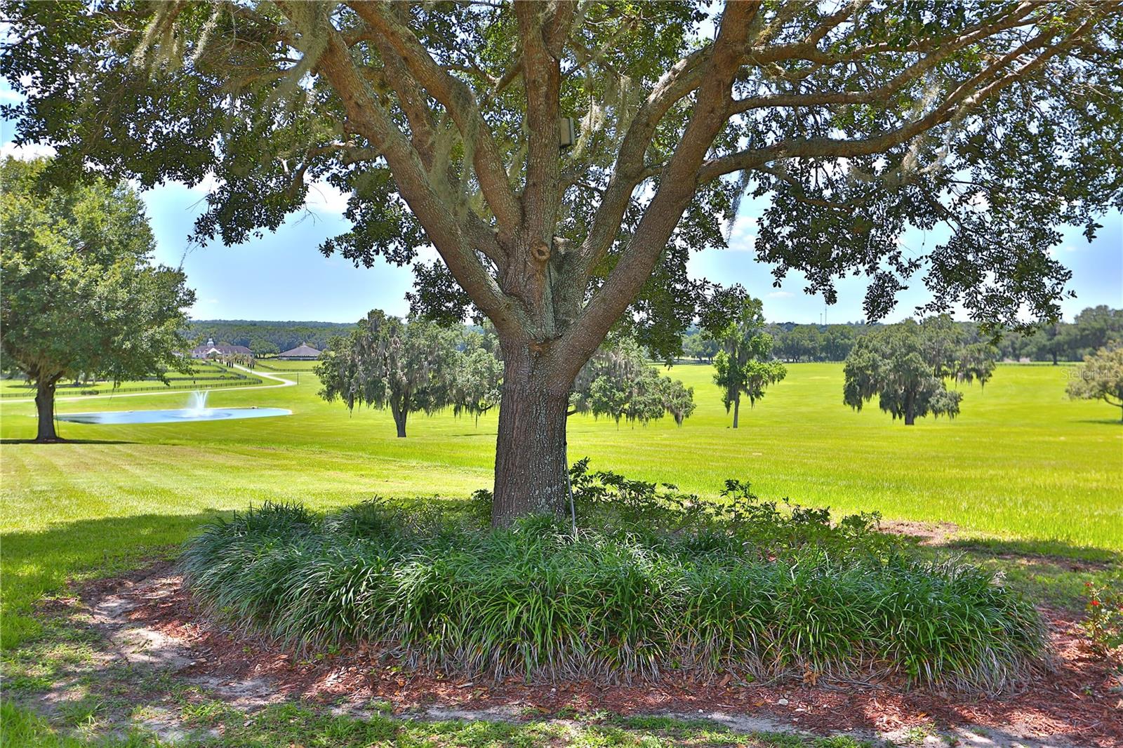 OM691215 Property Photo