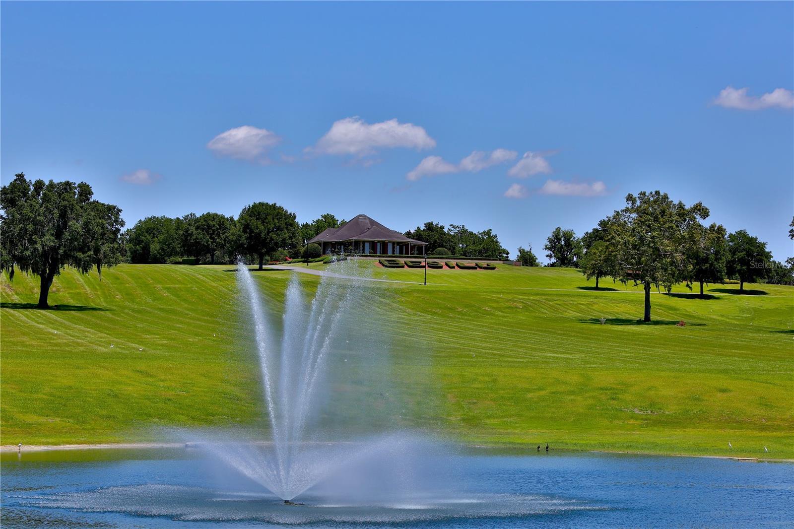 OM691215 Property Photo