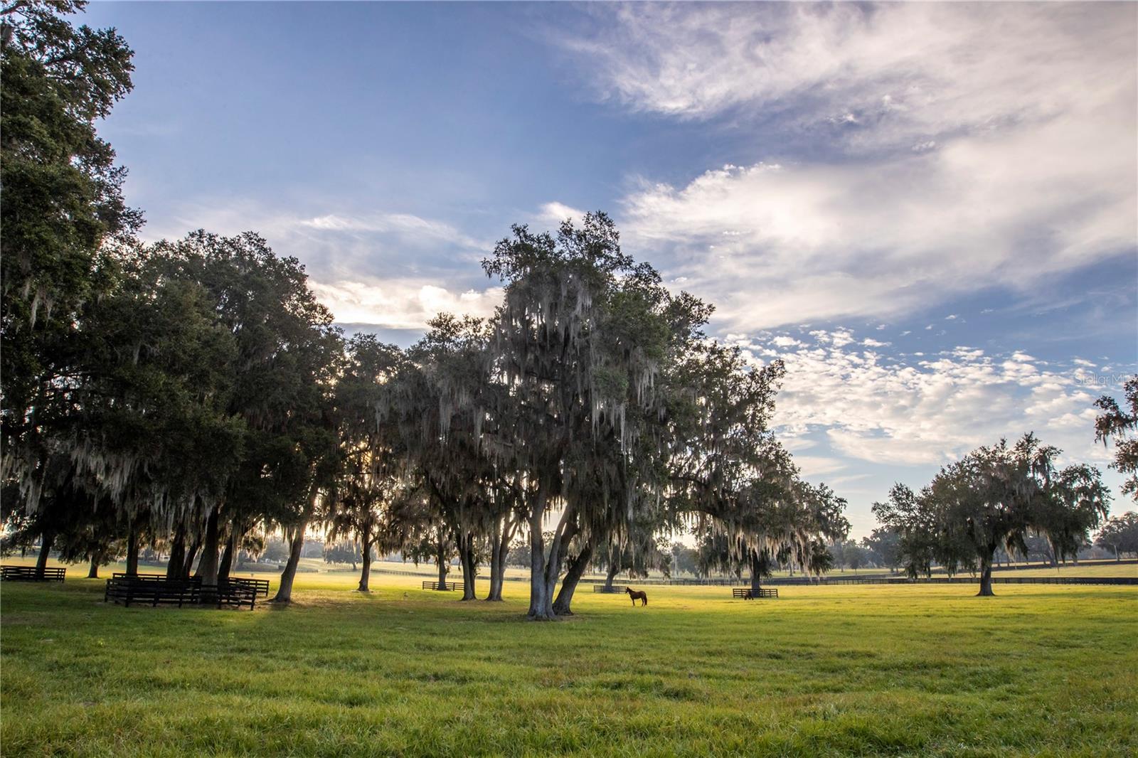 OM691215 Property Photo