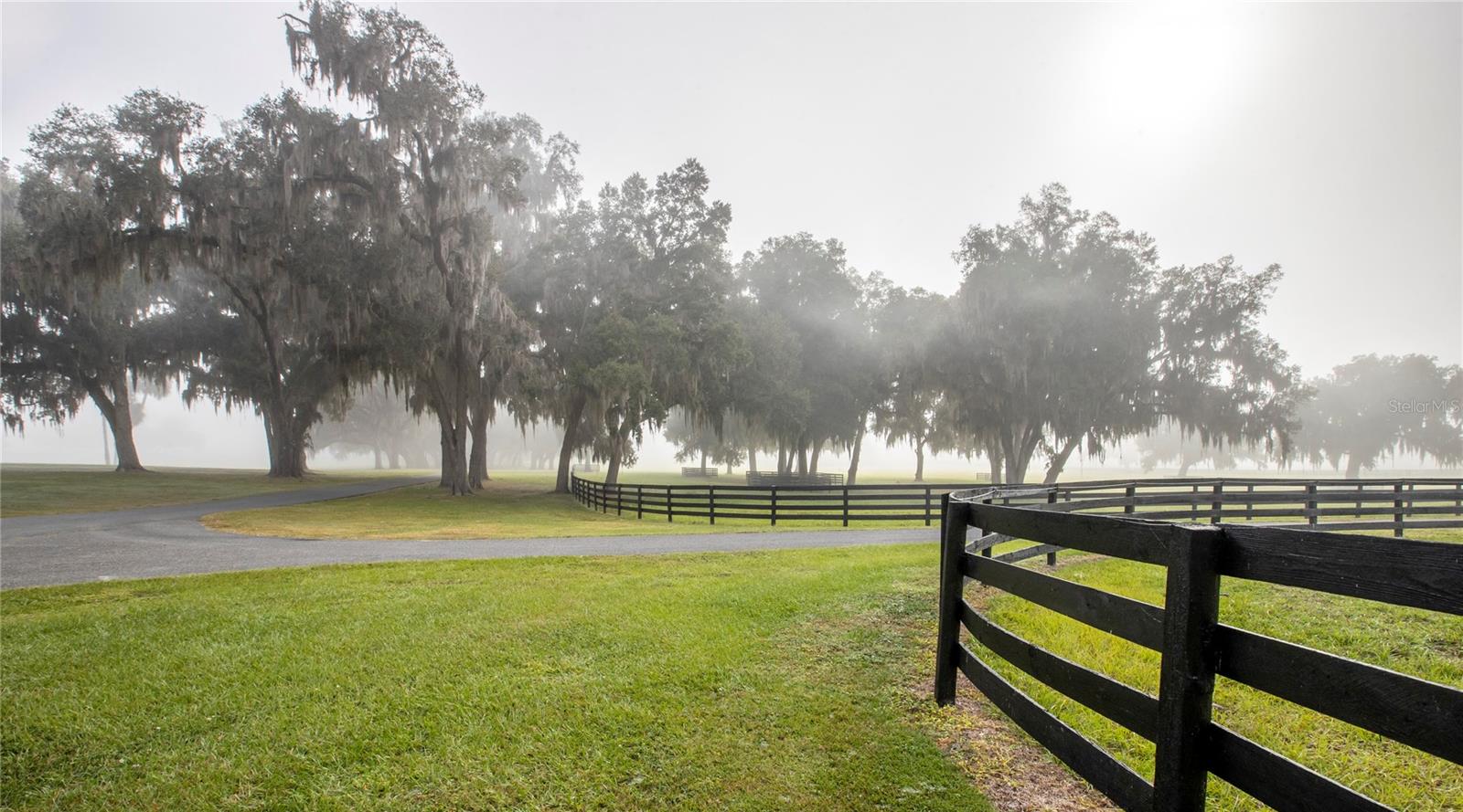 OM691215 Property Photo