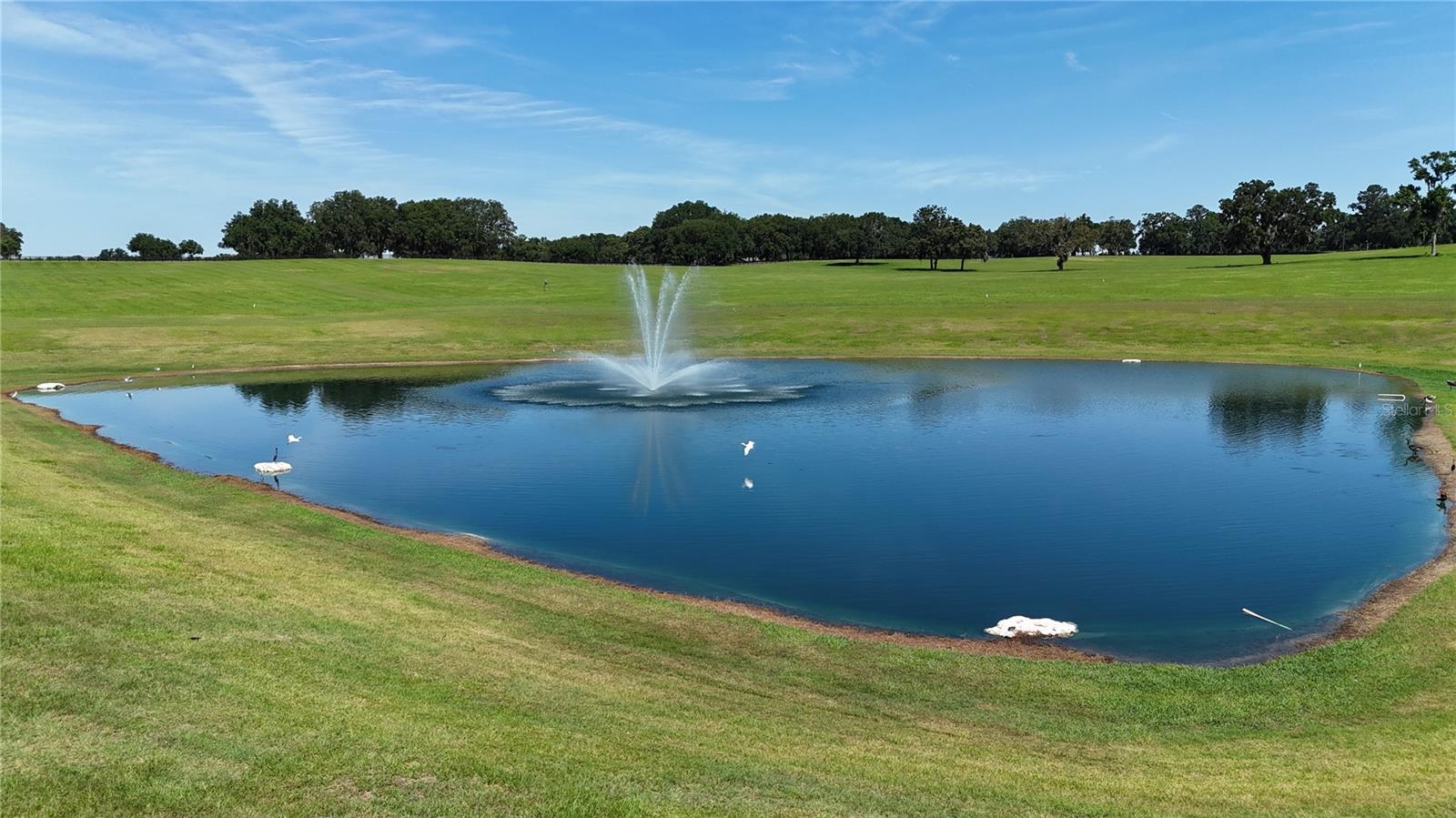 OM691215 Property Photo